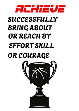 Achieve Success with Basketball Trophy