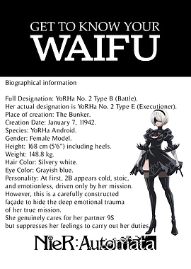 Nier: Automata 2B Waifu Information Sheet