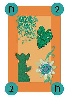 Botanical Illustration Card