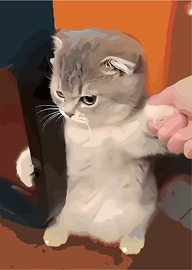 Cute Kitten with Folded Ears