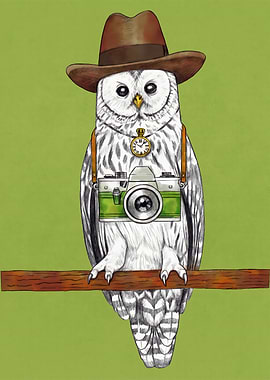 Owl Photographer with Hat and Camera