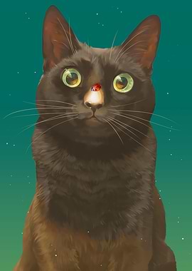 Cat with Ladybug on Nose