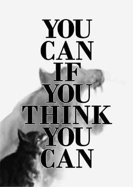 You can if you think you can