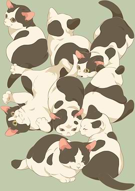 Pile of Black and White Cats