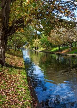 The Autumnal royal Military Canal