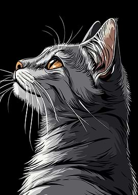 Gray Cat Portrait on Black Background