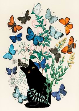 Black cat with butterflies and flowers