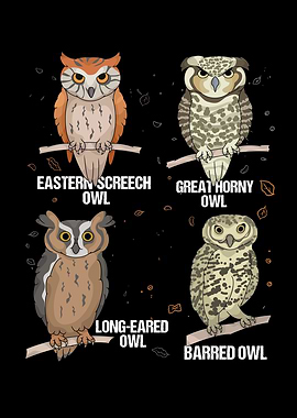 Owl Lover Kids Cute Owls Species Bird Owl