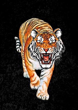 Roaring Tiger Watercolor on Black