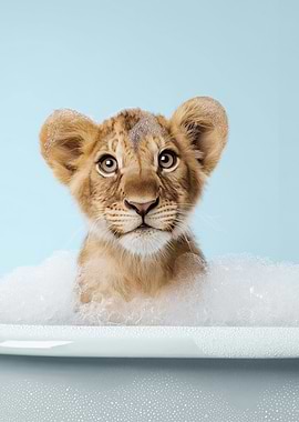 Lion cub in a bubble bath