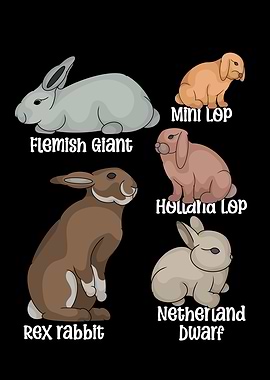 Rabbit Lover Kids Bunny Pet Boys Rabbit Species Rabbit