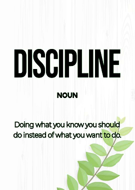 Discipline Definition