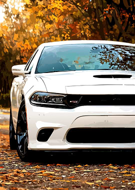 White Car in Autumn Leaves