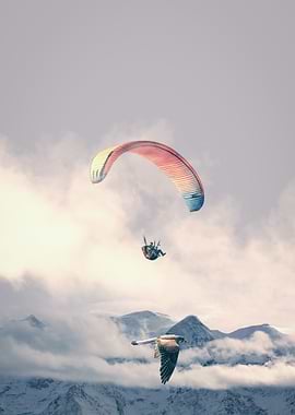 Paragliding Adventure