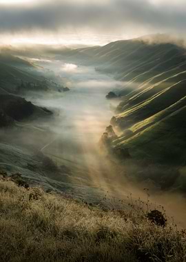 Misty Valley Landscape