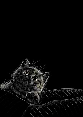 Cute Kitten on Black Background