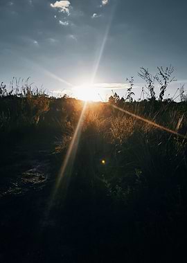 Golden Sunset Over Field