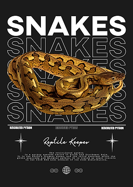 Reticulated Python Reptile Owner