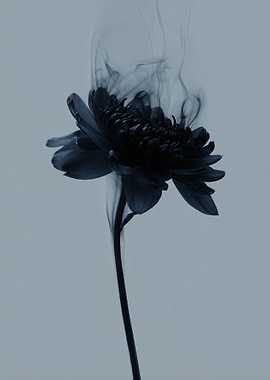Monochromatic Flower