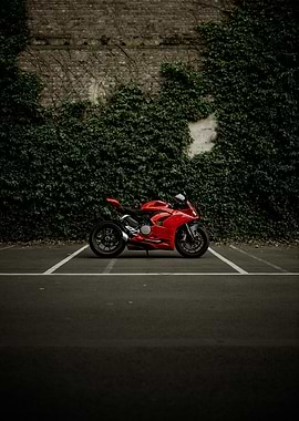 Red Motorcycle Parked Against Ivy Wall