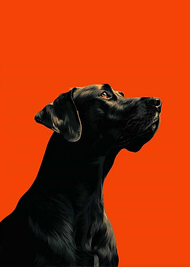 Black Dog Portrait on Orange Background