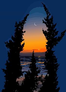 Sunset Through Trees by the Ocean