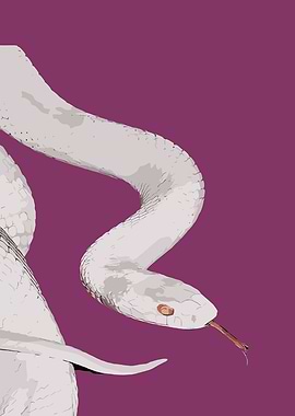 White Snake Illustration on Purple Background