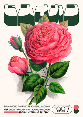 Rose Still Blooms Floral Art