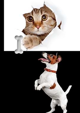 Cat, Dog, and Bone