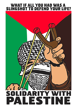 Solidarity with Palestine Slingshot Poster