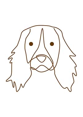 English Springer Spaniel