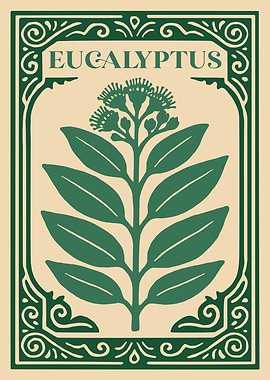 Eucalyptus Plant Illustration