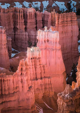 Bryce Canyon National Park Hoodoos
