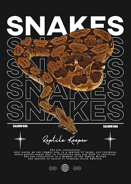 Salmon Boa Snake Reptile Keeper