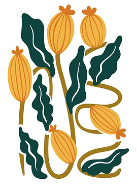 Abstract Floral Art with Yellow Pods