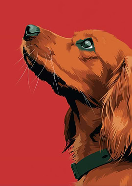 Cocker Spaniel Dog Portrait on Red Background