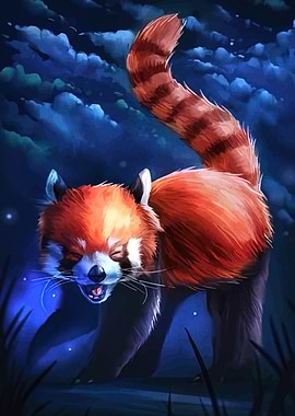 Red Panda in the Night