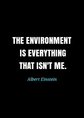 Einstein quote: The environment is everything