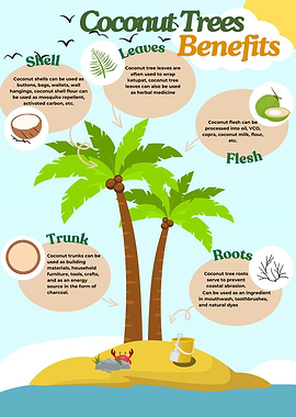 Coconut Tree Benefits Infographic