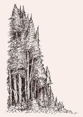 Detailed Forest Pen and Ink Drawing