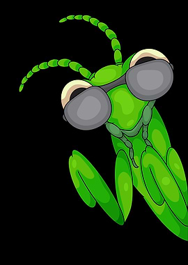 Cool Praying Mantis Lover Kids Insects Praying Mantis