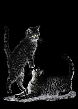 Two Tabby Cats on Black Background