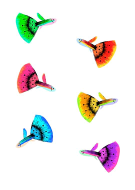 Colorful Guppy Fish Pattern