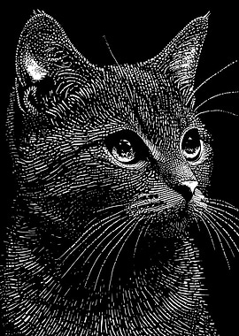 Monochrome Cat Portrait