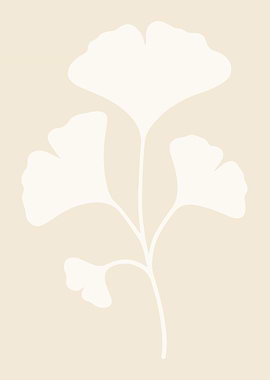 Ginkgo Biloba Leaf Illustration