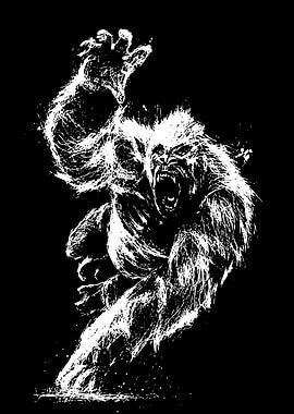 White Gorilla on Black Background
