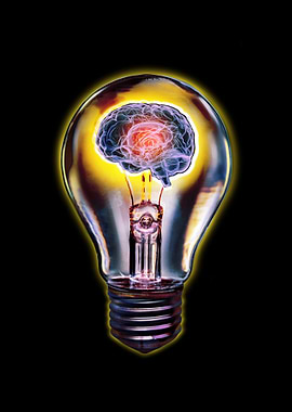 Brain in a Lightbulb