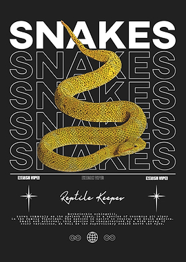 Snakes Reptile Keeper Eyelash Viper