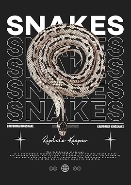 California Kingsnake Reptile Keeper