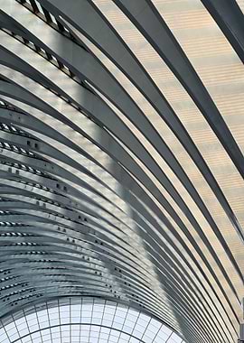Architectural Ceiling with Arched Metal Beams